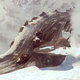 Image for article titled First Trailer And Screens For MotorStorm: Arctic Edge
